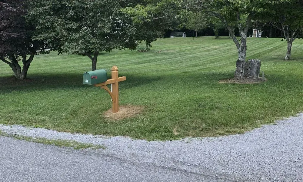 A big outdoor roadside park having many trees and trimmed grass as a result of professional lawn