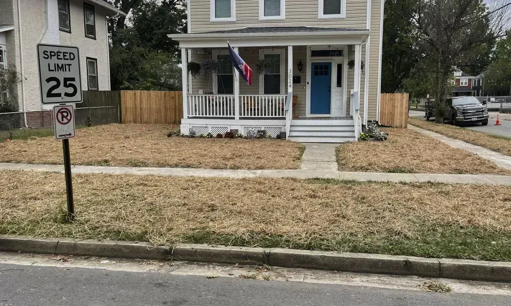 A corner roadside house with a big lawn covered with big yellow grass requires some landscape