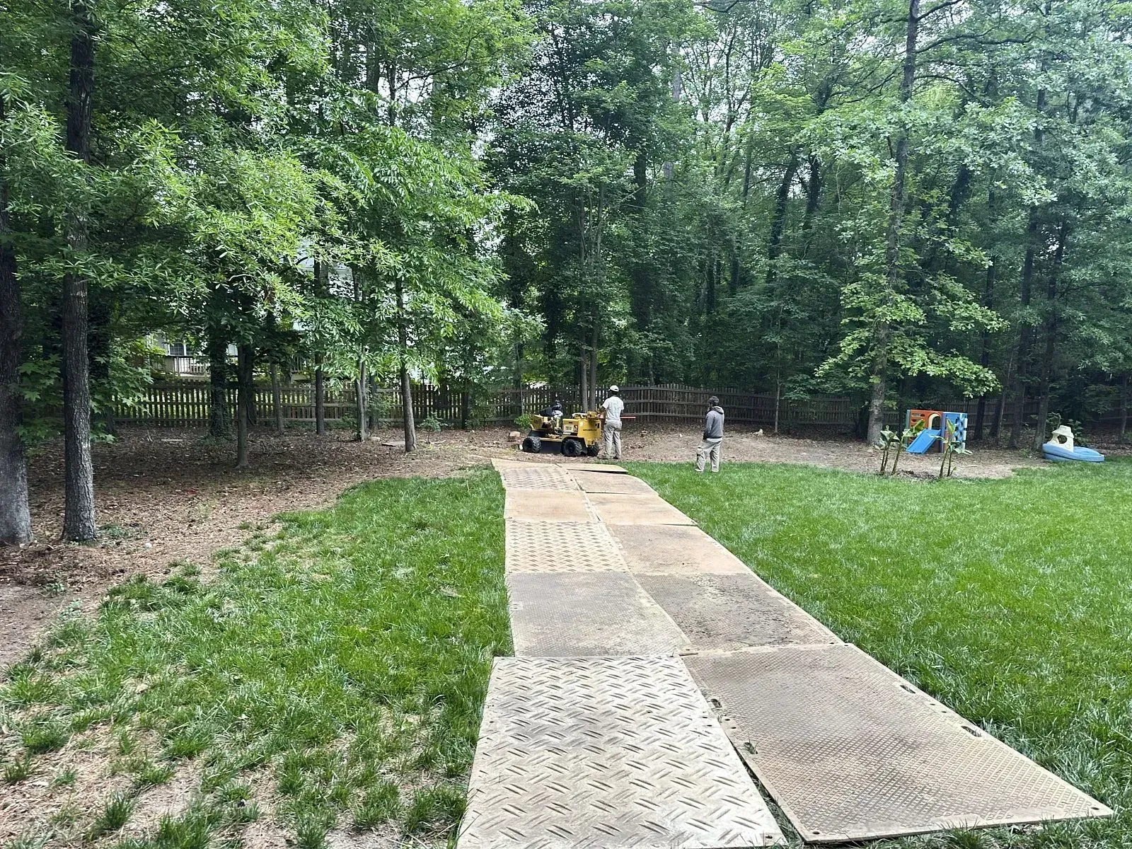 A long shot of a thick forest like area with a stump grinder machine working for tree stump removal under long trees