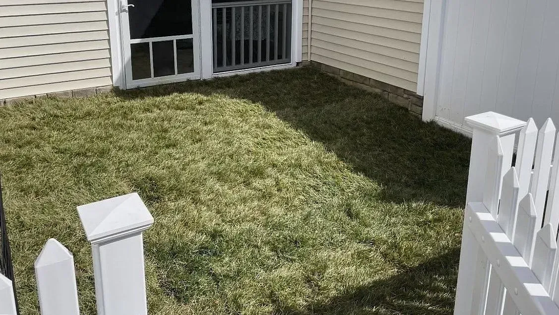 A medium sized lawn outside a house is fully covered with the sod installation to depict the natural grass