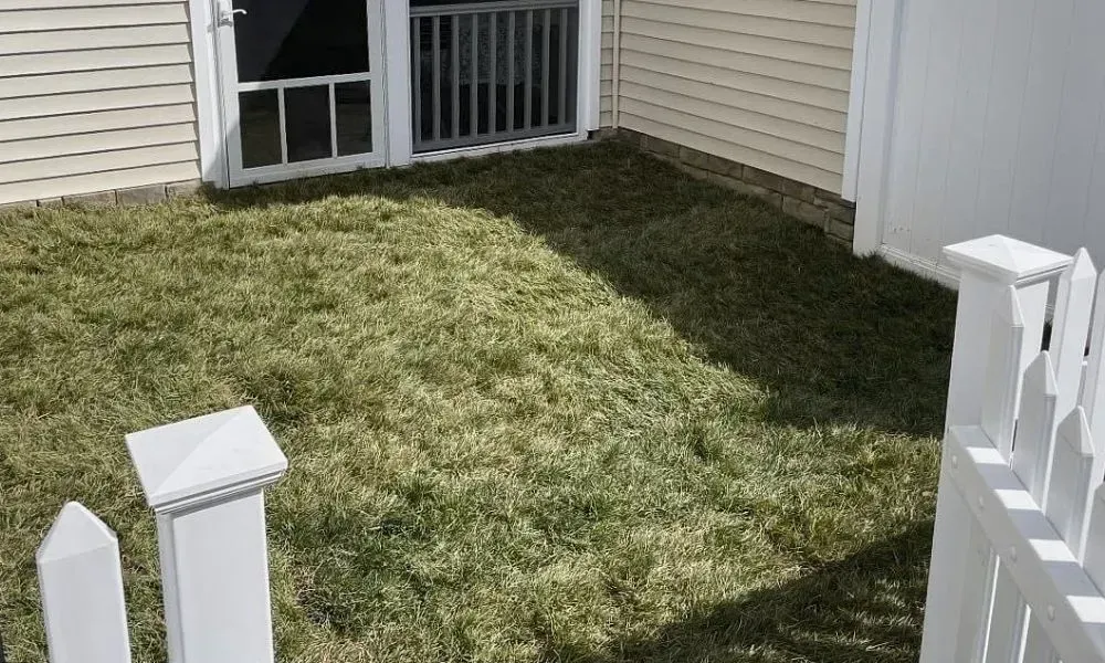 A medium sized lawn outside a house is fully covered with the sod installation to depict the