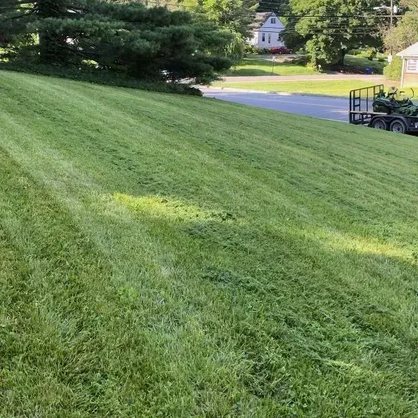 A mini hill park lawn with dense trees and greenery around it maintained efficiently by lawn mowing