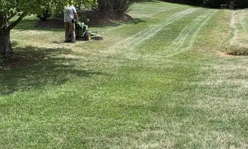 A professional worker trimming the grass using lawn mowing tools to further groom the green lawn