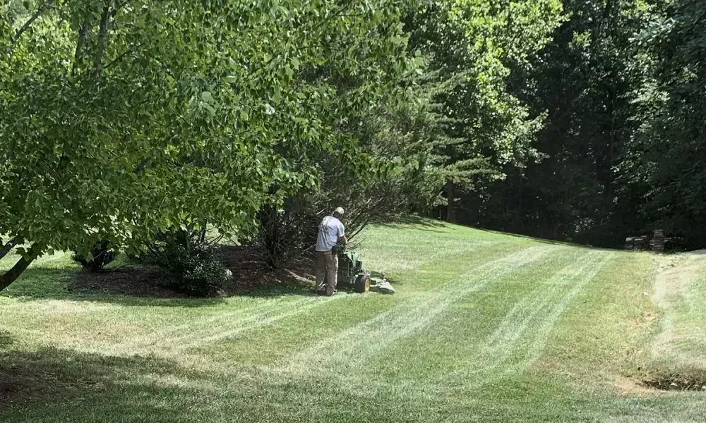 A professional worker using a lawn mower and brush cutter to trim the extra grown up grass inside a