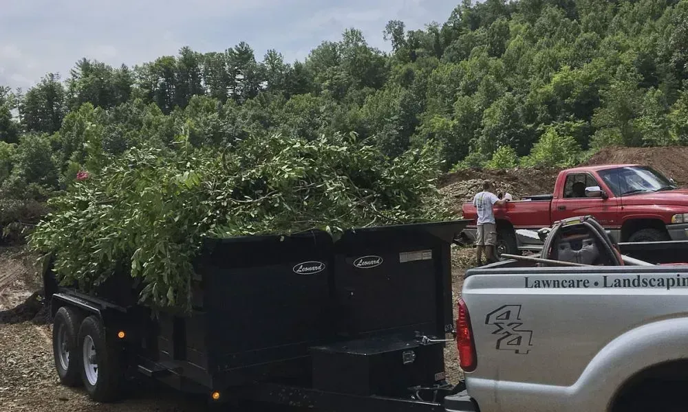 A towed black loader is filled with cut tree parts after a tree maintenance process