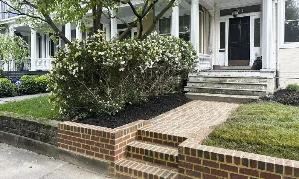 A walkway with three steps towards the house door covering the lawn area outside the house showing