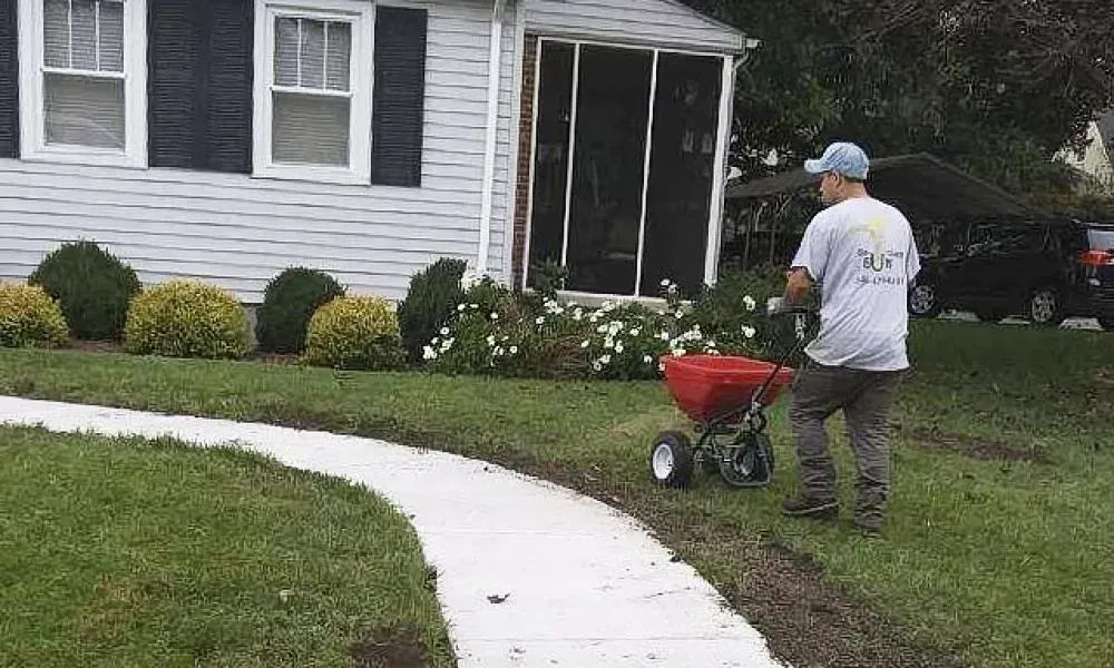 An expert worker is performing professional lawn aeration on a lawn outside a house