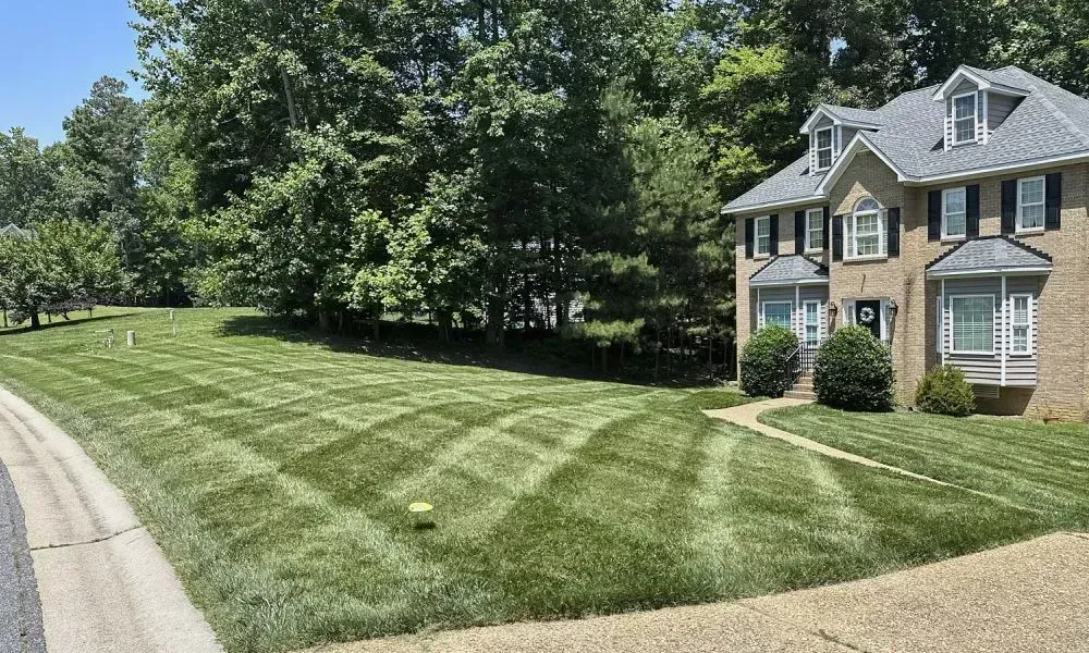 An outdoor lawn with some trees and good quality grass perfectly maintained for residents by lawn