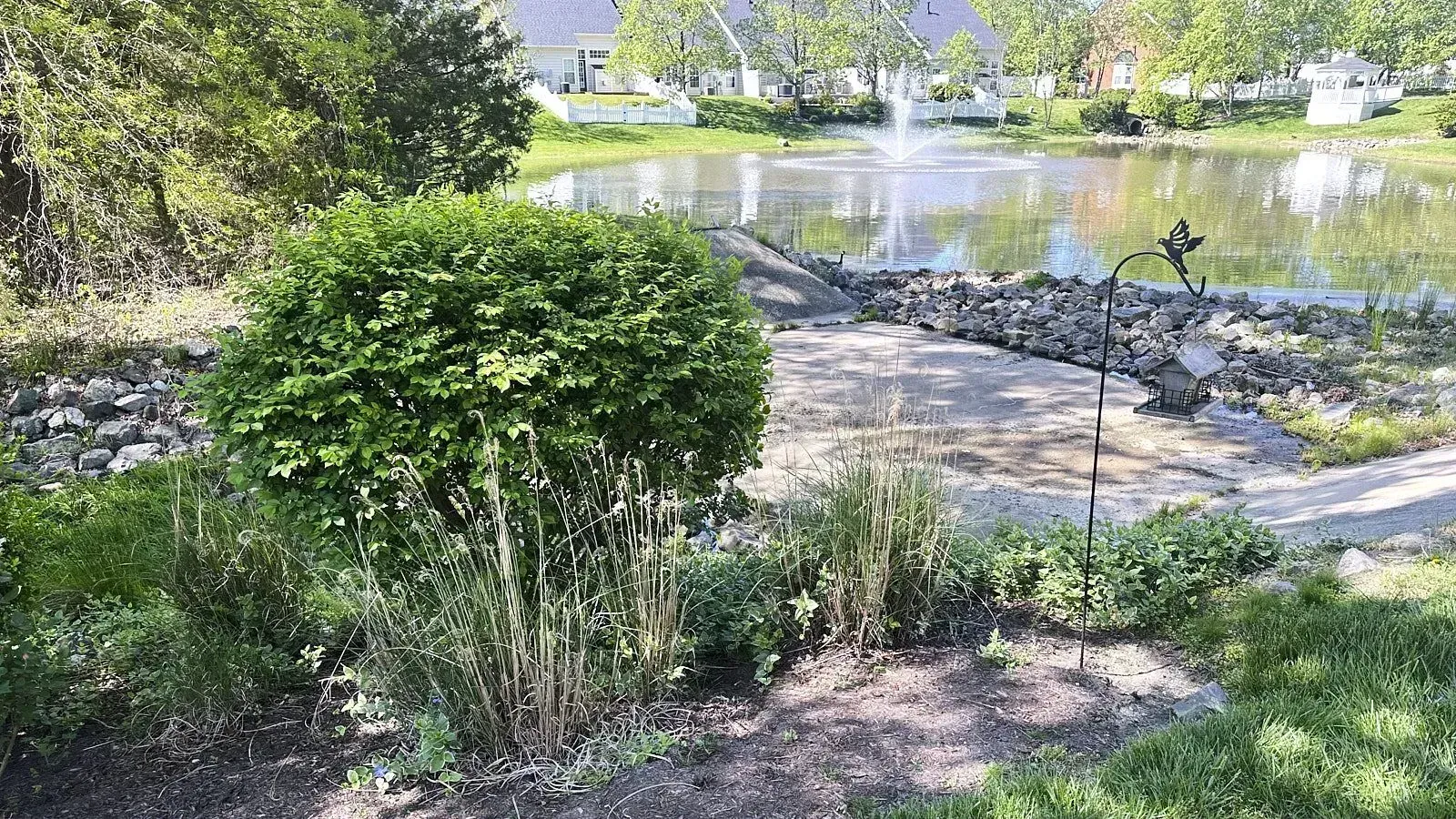 Beautifully landscaped garden area with grass plants bushes and a small artificial pond showing expert landscape installation