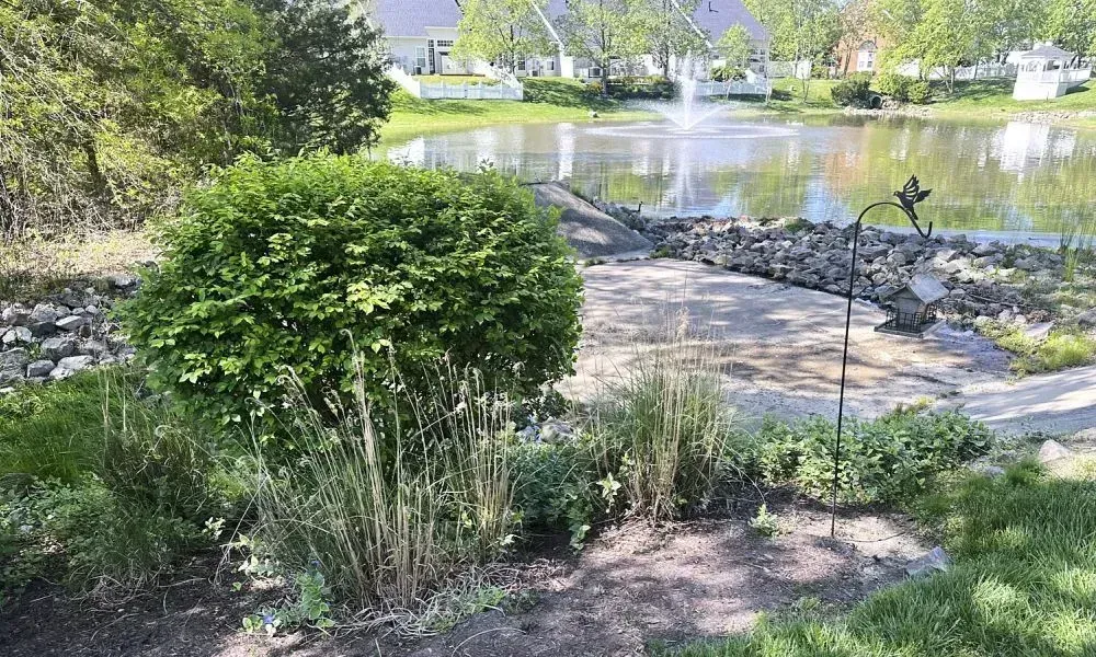 Beautifully landscaped garden area with grass plants bushes and a small artificial pond showing