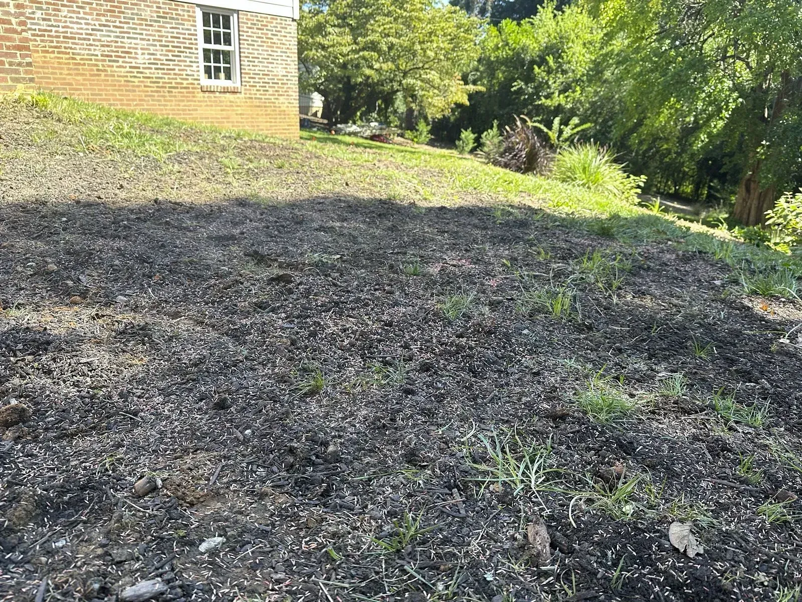 Big lawn with sparse grass coverage and bare patches outside a house indicating a need for lawn aeration services