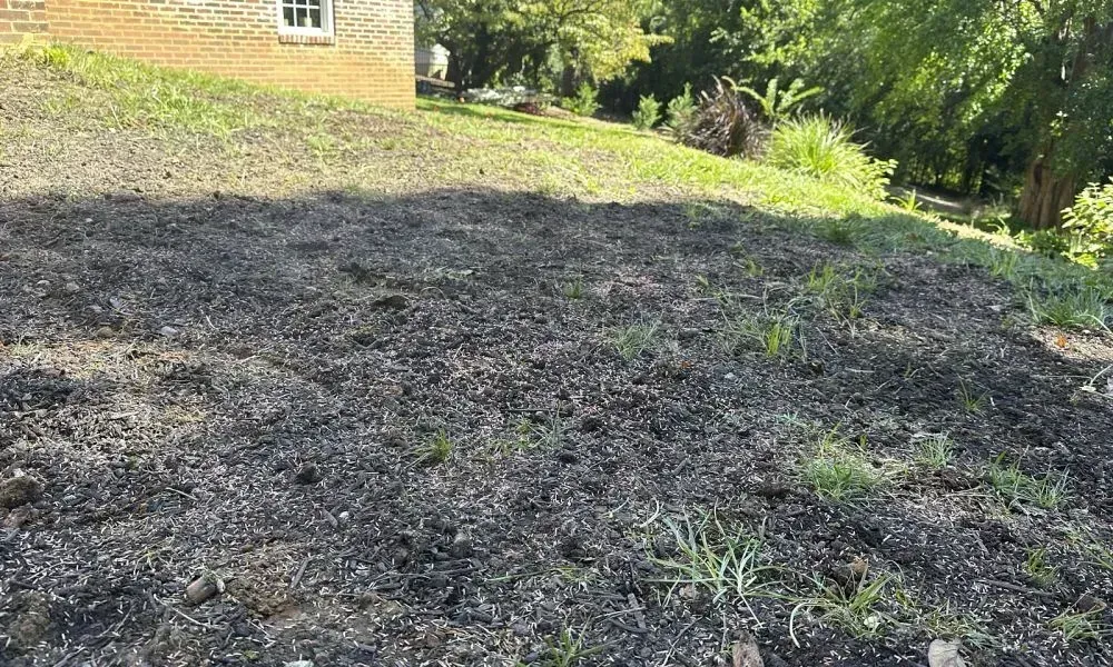 Big lawn with sparse grass coverage and bare patches outside a house indicating a need for lawn