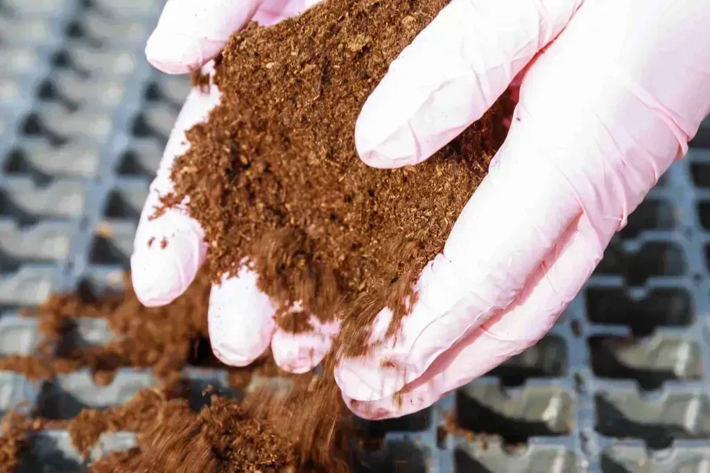 Calculating How Much Peat Moss You Need