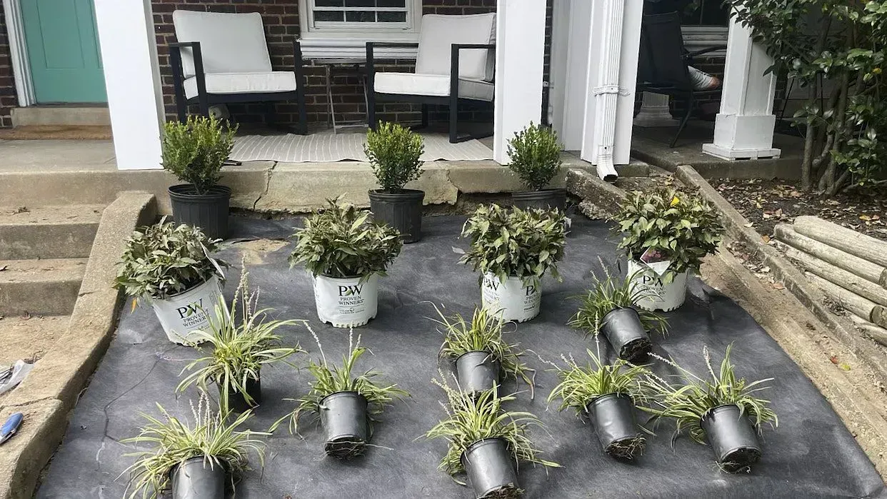 Collection of various plant pots of varying sizes placed outside a house to be placed in the lawn for a great garden design