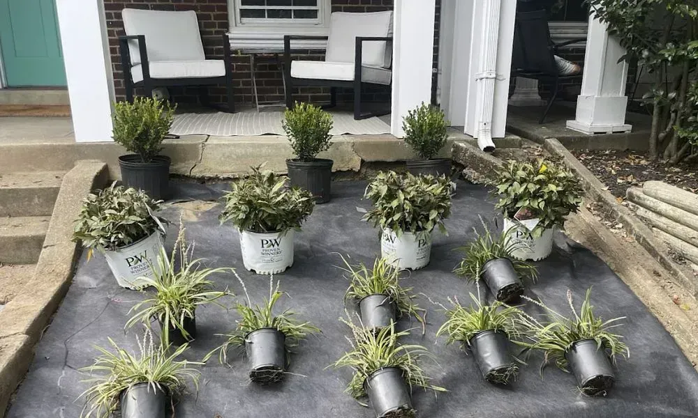 Collection of various plant pots of varying sizes placed outside a house to be placed in the lawn