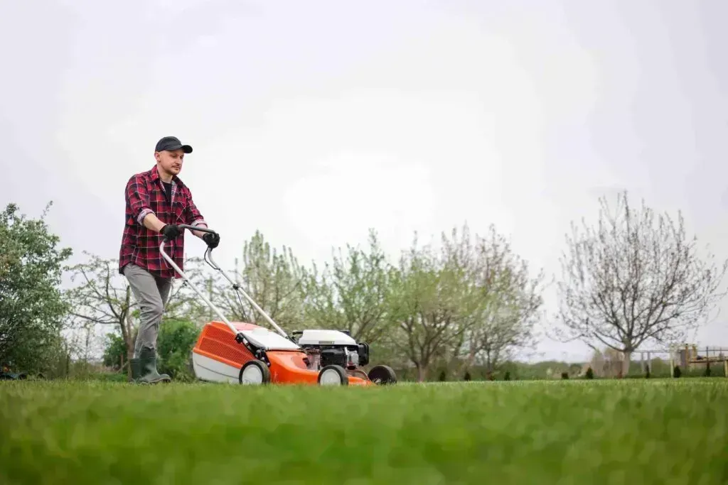 How To Get Rid Of Spiky Balls In Grass