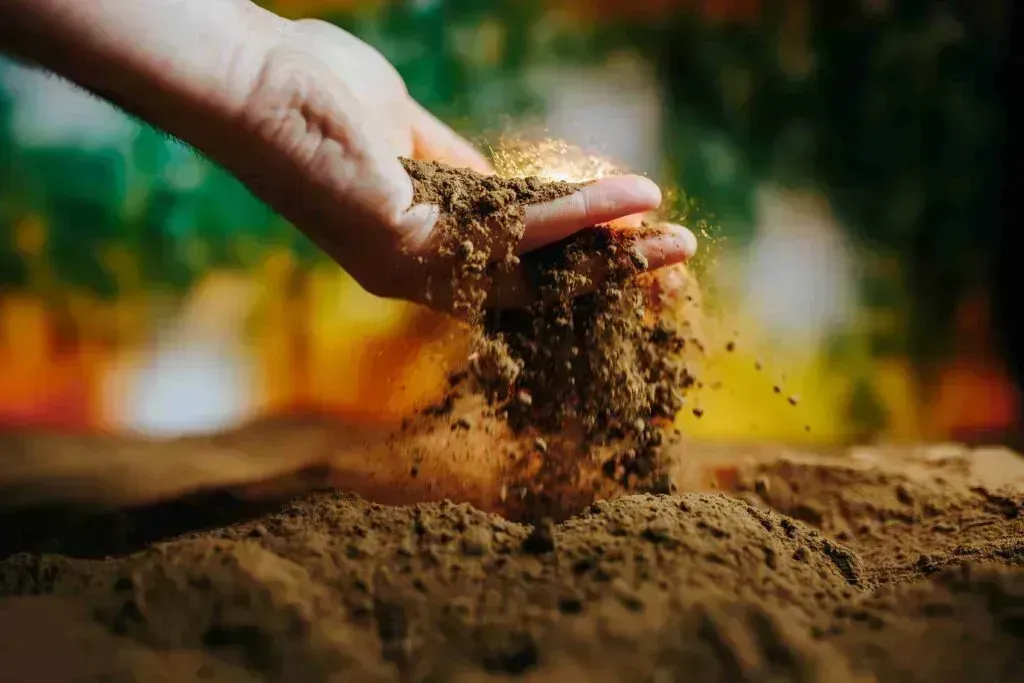 How To Use Garden Soil On Grass