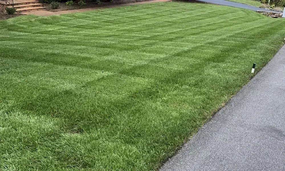 Long shot of a big rectangular shaped lawn outside a large house with fresh green grass