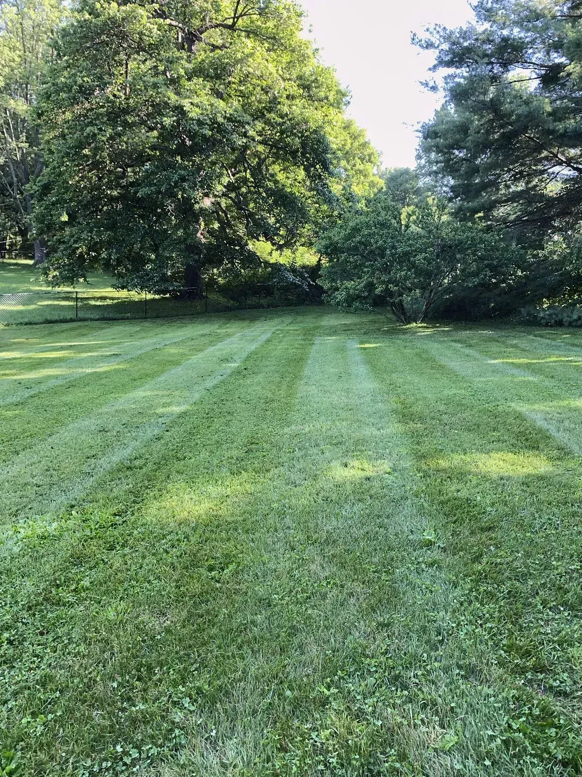 Long shot of an outdoor lawn with dense trees and rich greenery showcasing high quality commercial lawn mowing services