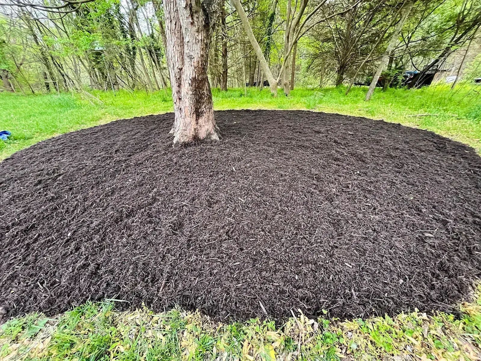 The Dangers of Root Intrusion!