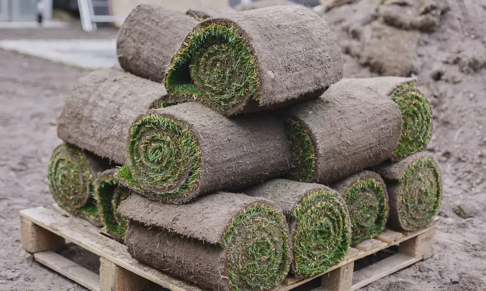 Nearly a dozen of small grass rolls are placed on the wooden pallet to move to the site for the
