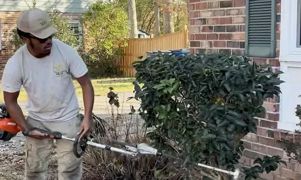 Professional from a tree pruning company using a string trimmer to prune a small tree for