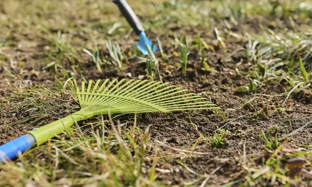 Raking tool placed on brown sand with some grass in a lawn likely a preparation for professional