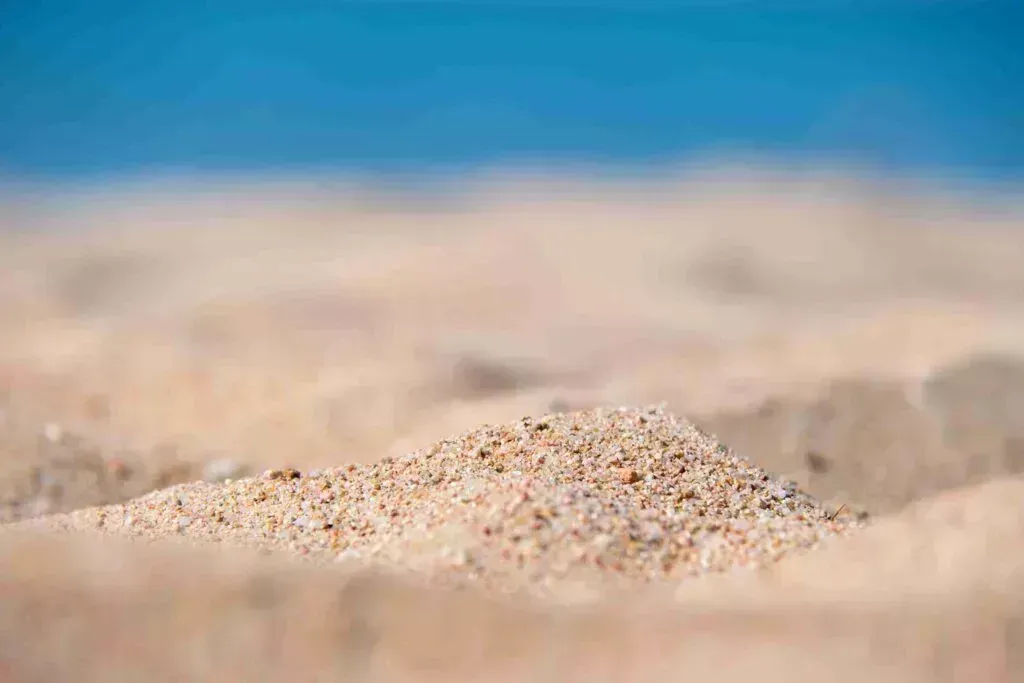 Sand Types To Avoid For Leveling Lawn