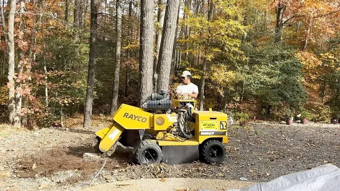Side shot of a professional stump grinder machine operator sitting in the vehicle to remove the tree stump off the ground