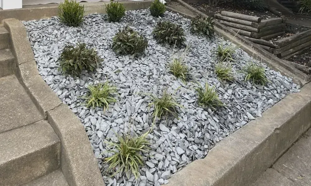 Wide slidedown alongside house stairs covered with gray pebbles and have various plants creating a