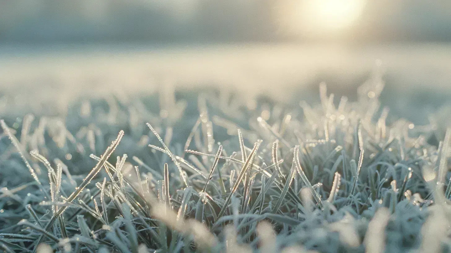 What Temperature Is Too Cold To Mow Grass? (Solved)