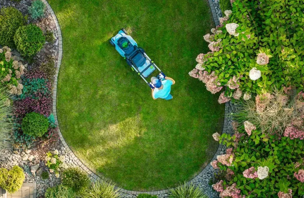 Man Mowing Lawn Before Applying Cayenne Pepper For Grass Control Resized