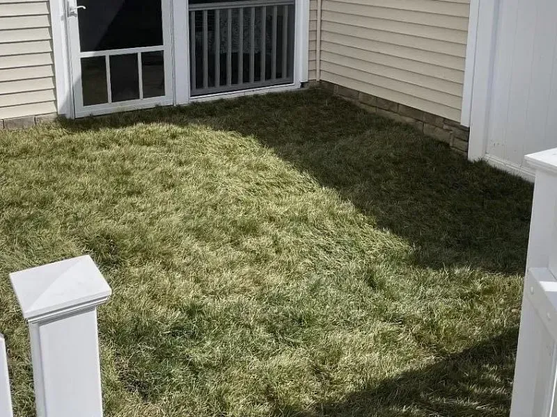 Sod Installation Company In Virginia
