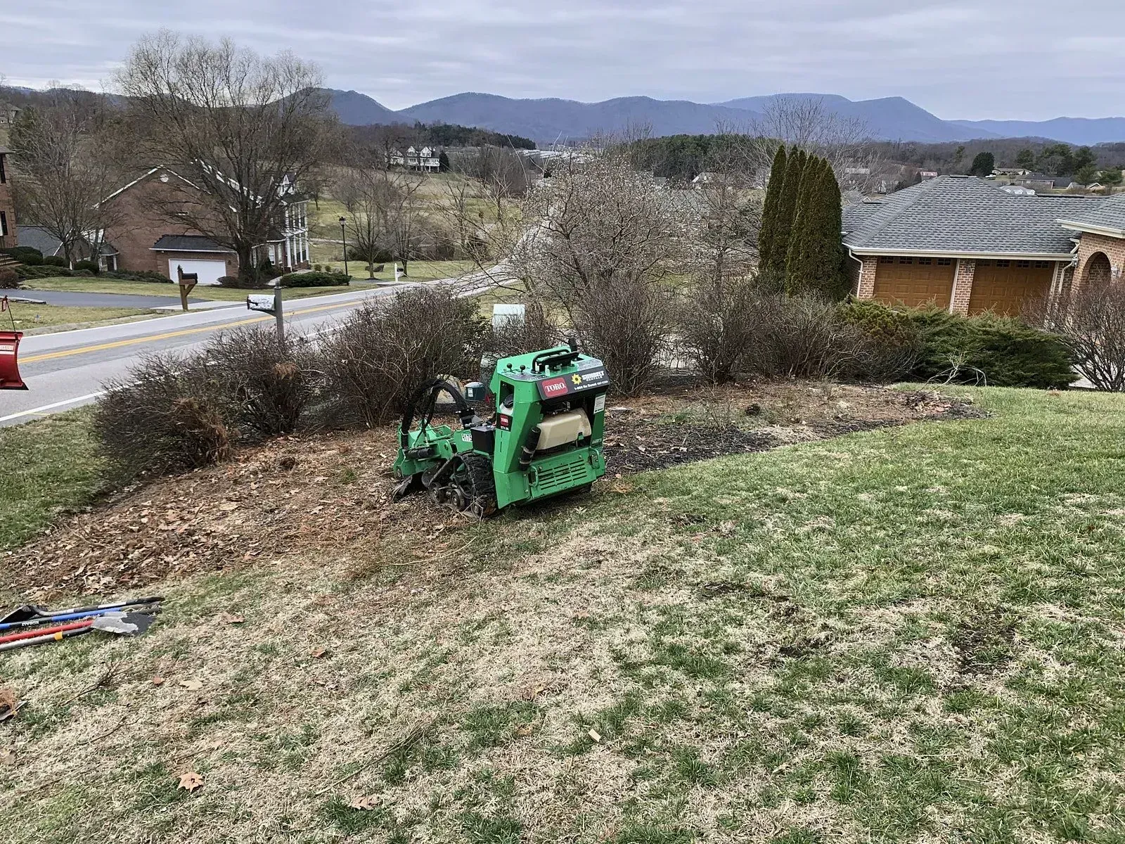 Stump grinding company in virginia