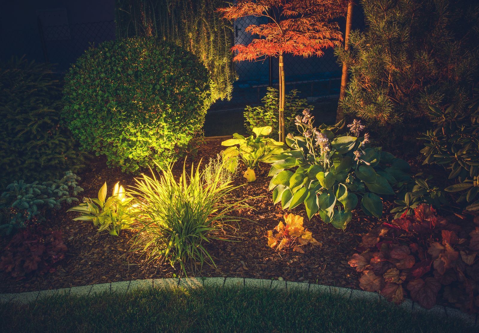 Natural Landscape Lighting In Garden At Night Illuminated Plants