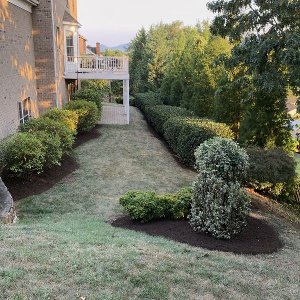 Side View Outside A House With Ground Level Grass Cutting And Trimmed Plants Creating A Great Backyard Landscaping View