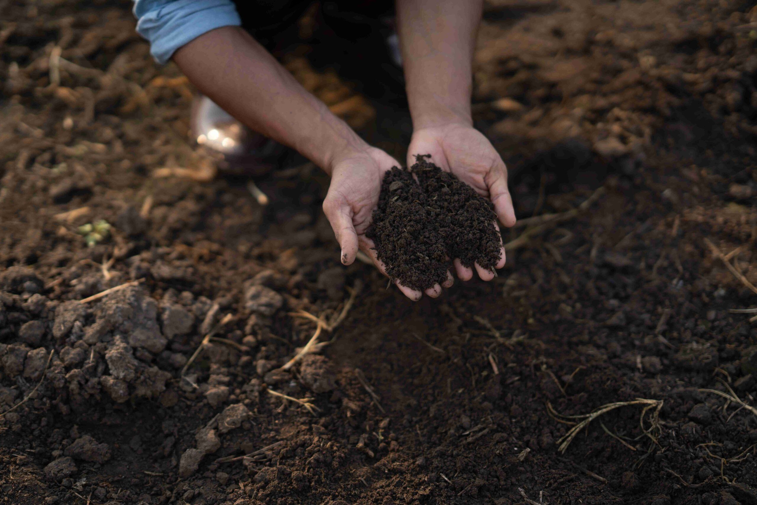 Can You Use Garden Soil For Grass