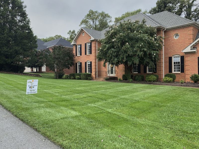 Side View Of A Big Rectangular Shaped Lawn Outside A Large Bungalow With Freshly Trimmed Grass And Pruned Trees