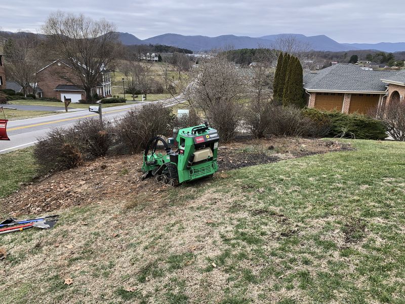 Stump Grinding Company Richmond Va