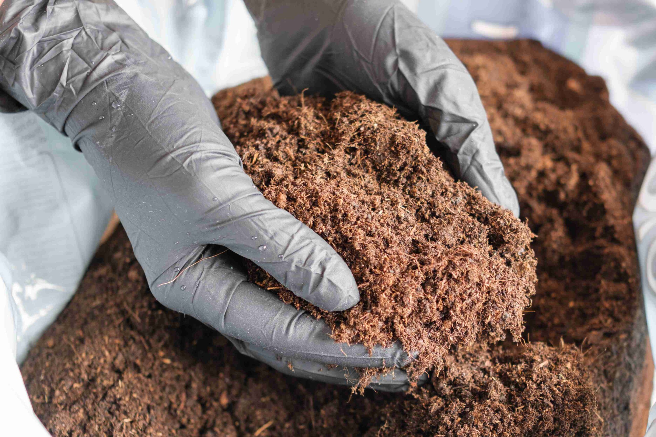 How Much Peat Moss Do I Need
