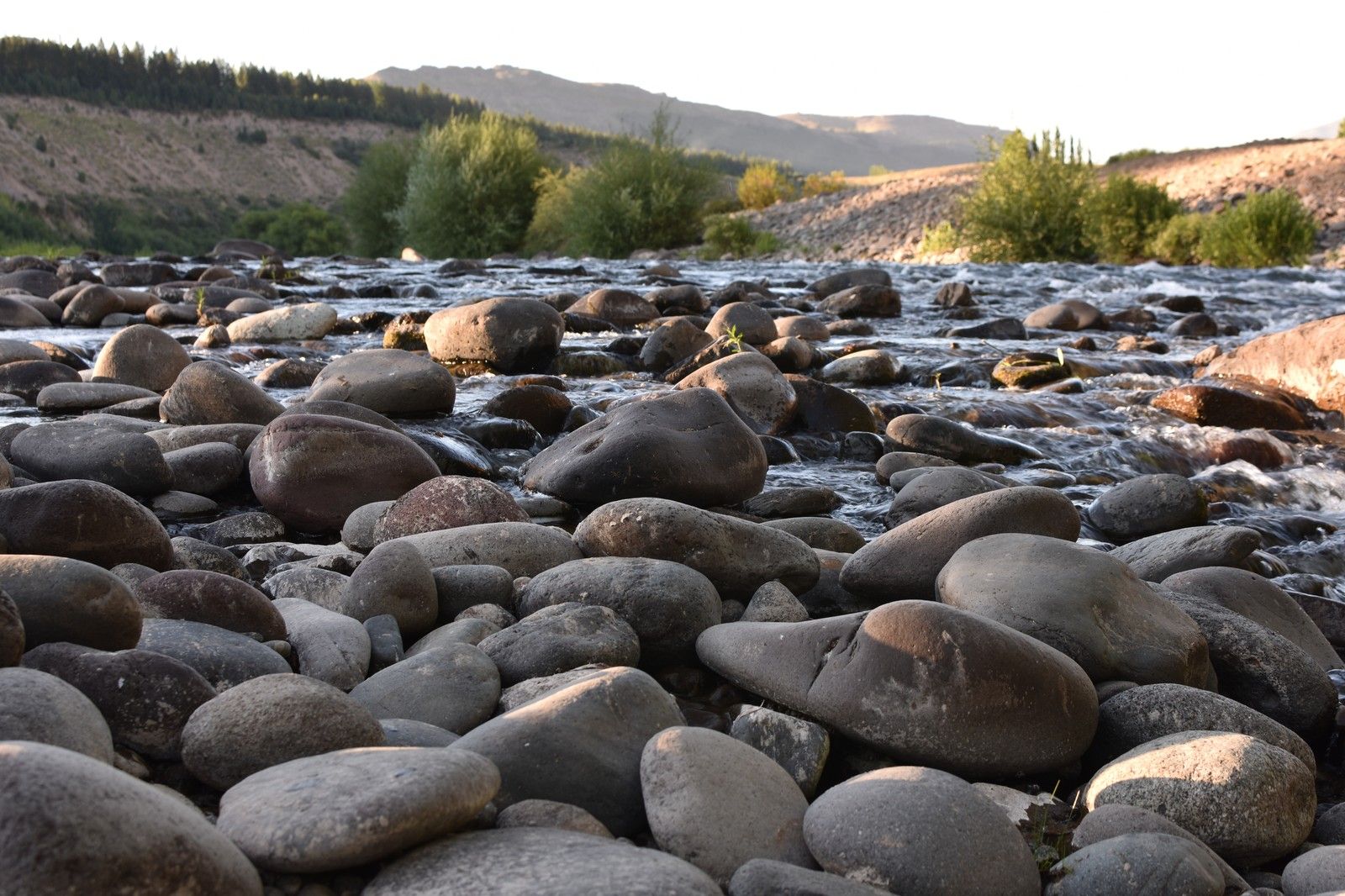 Neuquen River Rocky Banks Lined With Trees Resized