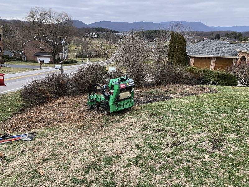 Stump Grinding Company In Virginia