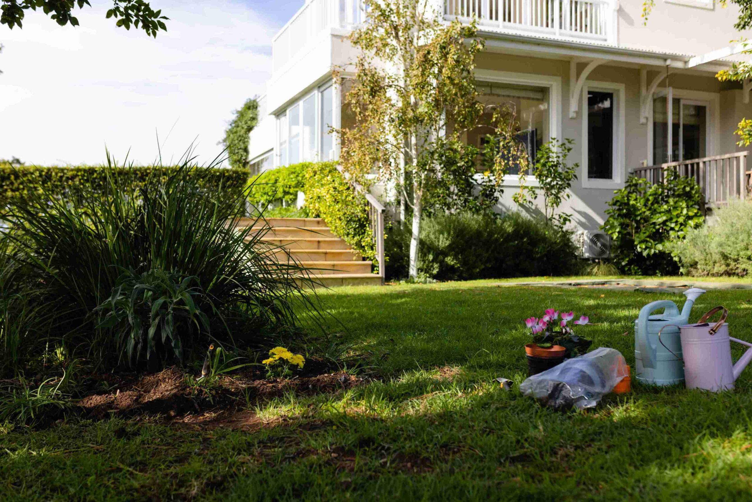 Too Much Iron In Lawn