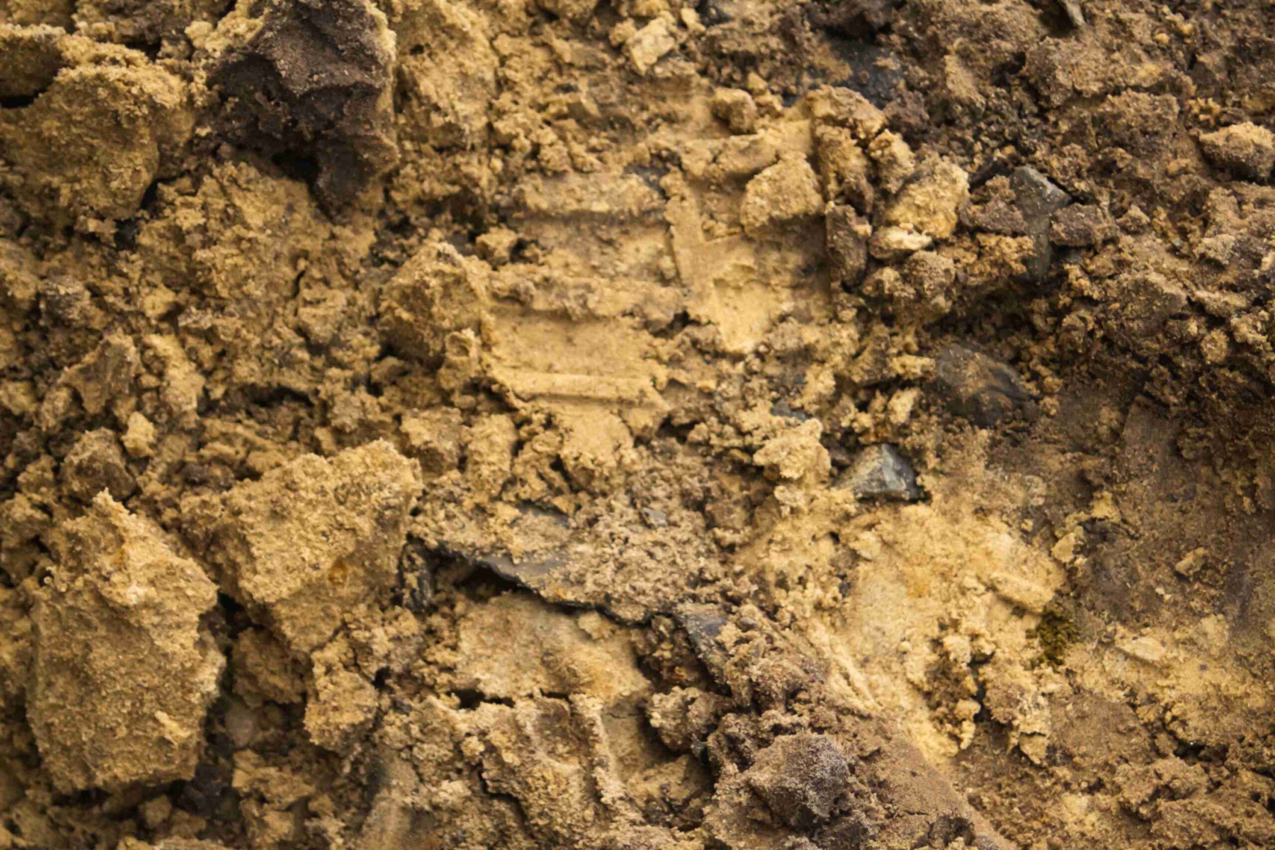 Can Grass Grow In Clay