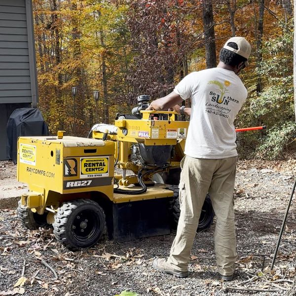 Backshot Of A Professional Stump Grinder Machine Operator Working For Tree Stump Removal In The Backyard