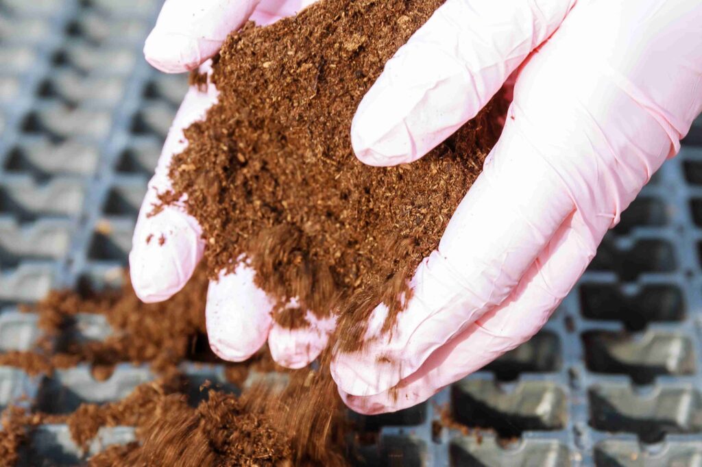 Calculating How Much Peat Moss You Need