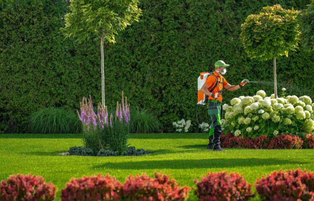 Diquat Vs Glyphosate