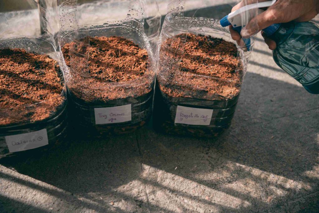 How Much Peat Moss for Garden Beds
