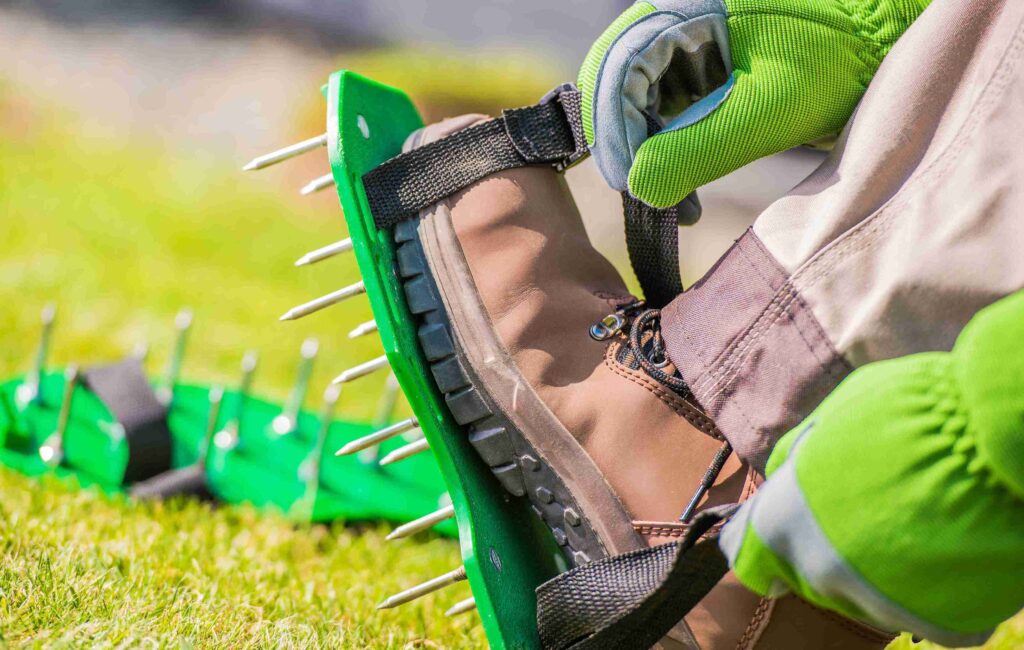 How Often Should You Aerate Your Lawn
