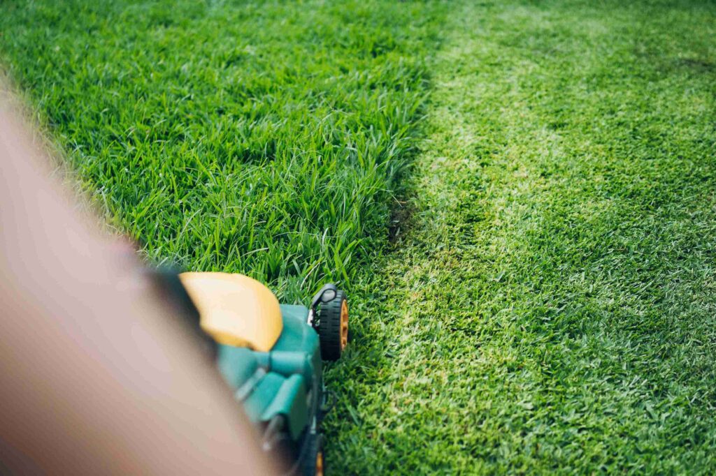 How To Apply Miracle-Gro To Grass